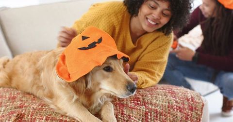 Couple Celebrating Halloween with Golden Retriever Wearing Pumpkin Hat on Cozy Sofa