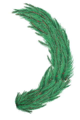 green fir tree branch transparent background curved decor - Download Free Stock Videos Pikwizard.com