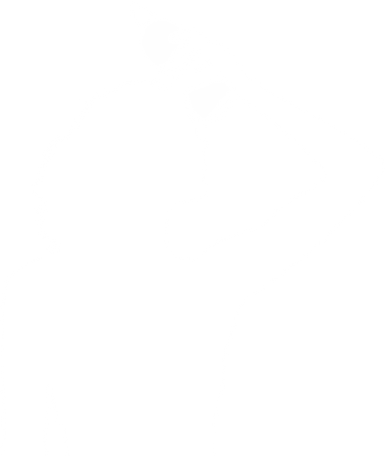 Women With Bottle of Water on Transparent Background Silhouette - Download Free Stock Videos Pikwizard.com