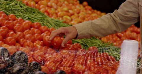 Man picking fresh tomatoes at farmers market stall with green beans and bag dispenser
