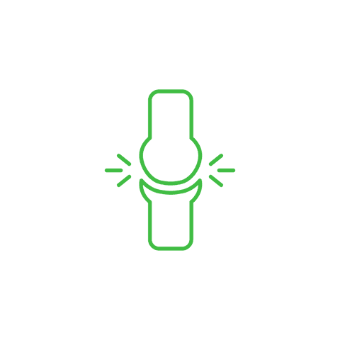 transparent medical icon of knee joint in green line art - Download Free Stock Videos Pikwizard.com