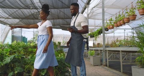 African American Colleagues Discussing in Greenhouse Environment