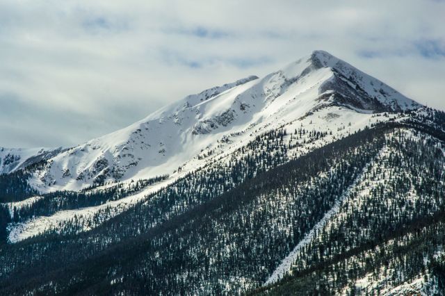 This stunning photograph showcases a snow-covered mountain summit with dense pine forest. Ideal for promoting winter destinations, outdoor activities or adventure travel. Perfect for brochures, travel websites, and nature magazines.