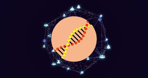 DNA Strand Surrounded by Network of Digital Connections and Data