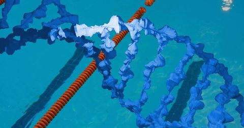 Floating blue buoys and orange lane dividers in calm pool