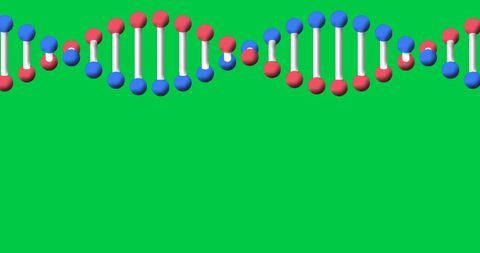 Abstract spinning dna strand on green screen background