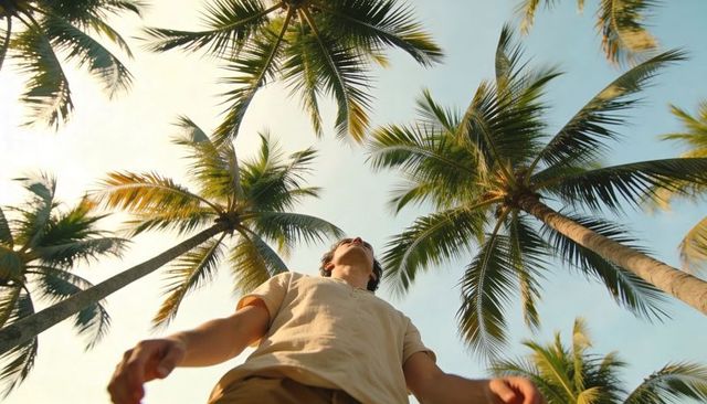 Low-angle man under coconut palms gazing up at clear blue tropical sky
