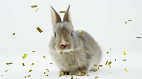 Cute Rabbit with Falling Confetti on White Background