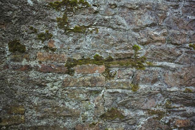 This image shows a close-up of a weathered stone wall with patches of moss. The rough texture and natural colors make it ideal for use in backgrounds, architectural studies, or nature-themed projects. It can be used in presentations, websites, or as a backdrop for text and graphic overlays.