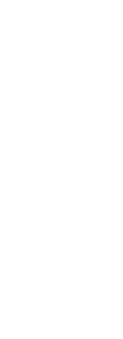 Transparent Silhouette of Female Athlete Performing Stretch Exercises