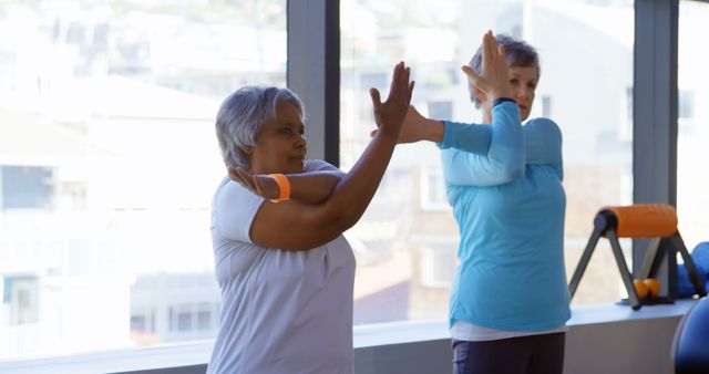 Senior women stretching in fitness class during daytime - Download Free Stock Images Pikwizard.com