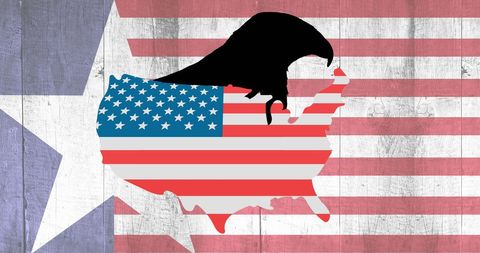 Patriotic usa map with american flag and eagle silhouette