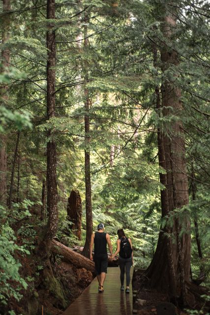 Couple walking hand in hand on a wooden trail through a lush redwood forest. The image captures the natural beauty and grandeur of tall trees surrounding them. Ideal for use in websites and blogs related to nature, outdoor activities, hiking, eco-tourism, and environmental conservation. Suitable for travel advertisements, health and wellness promotions, and romantic getaway promotions.