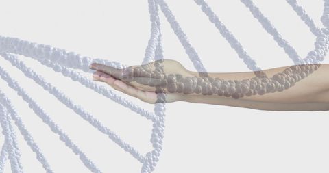 DNA Concept With Transparent Arm Overlay on White Background