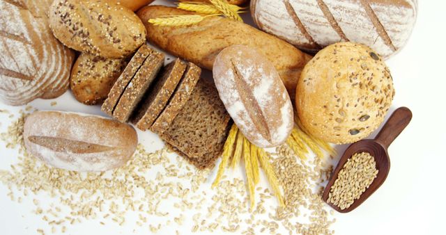 Assortment of Fresh Artisan Bread with Wheat and Grains - Download Free Stock Images Pikwizard.com