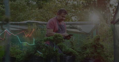 Gardener Using Tablet Technology in Bonsai Greenhouse