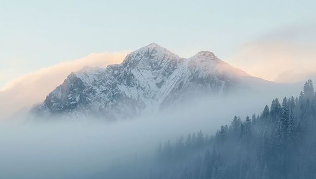 Snow-covered peaks glowing in alpenglow with low clouds and misty conifer ridge