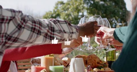 Friends toasting and clinking wine glasses outdoors at festive feast with roasted turkey