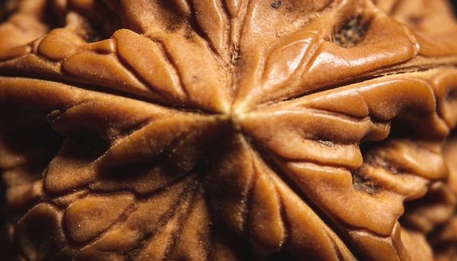 Macro walnut kernel showing central star seam and deep crevices with warm glossy brown texture