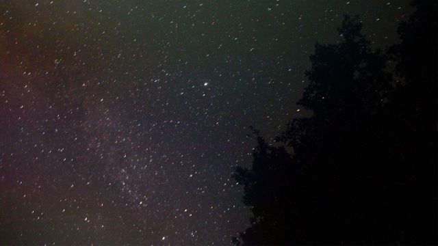 Starry Night Sky with Silhouette of Trees - Download Free Stock Photos Pikwizard.com