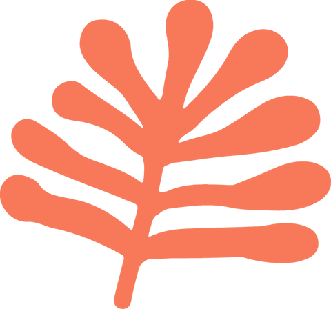 Transparent orange coral abstract organic branch shape