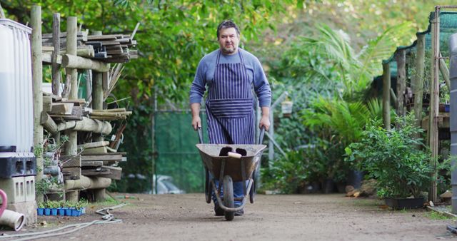 Middle-aged man in striped apron pushing a wheelbarrow along a dirt path in a lush garden. Ideal for content related to gardening, outdoor work, plant care, DIY projects, and rural lifestyle themes.