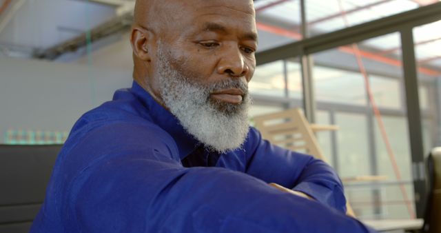 Elderly Man with Gray Beard Working in Modern Office - Download Free Stock Images Pikwizard.com