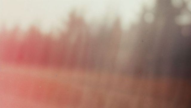 Dreamy Blurred Treeline with Golden Field at Sunrise