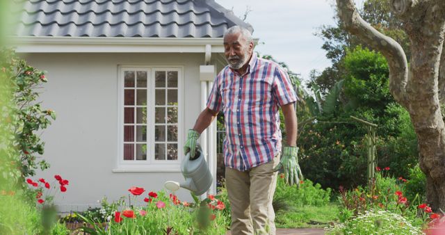 Older male dressed in casual attire, watering flower garden in front yard of home. Garden features colorful flowers and greenery. Photo useful for depicting healthy lifestyle, retirement activities, gardening hobbies, or home and garden themes.