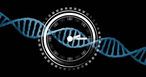 Clock over dna strand symbolizing genetic timeline