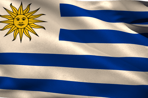 close-up of uruguayan flag waving with sun symbol on blue stripes - Download Free Stock Videos Pikwizard.com