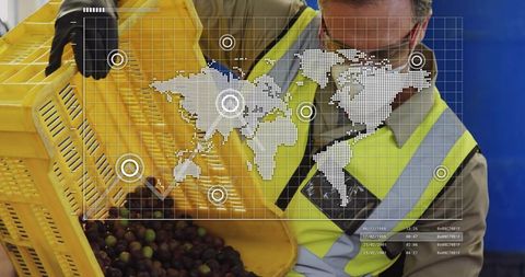 Warehouse worker pouring olives from yellow crate wearing hi-vis vest with digital hud map overlay