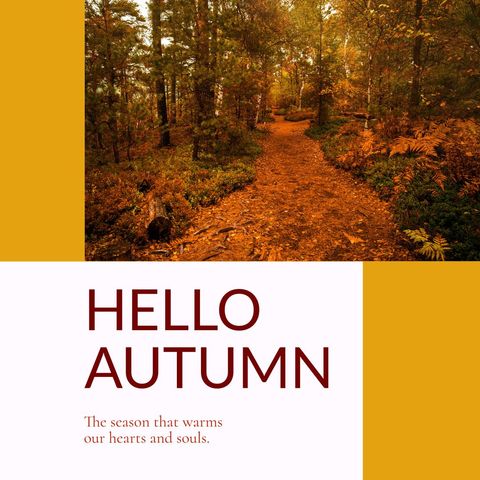 winding forest path silhouetted by autumn leaves - Download Free Stock Templates Pikwizard.com