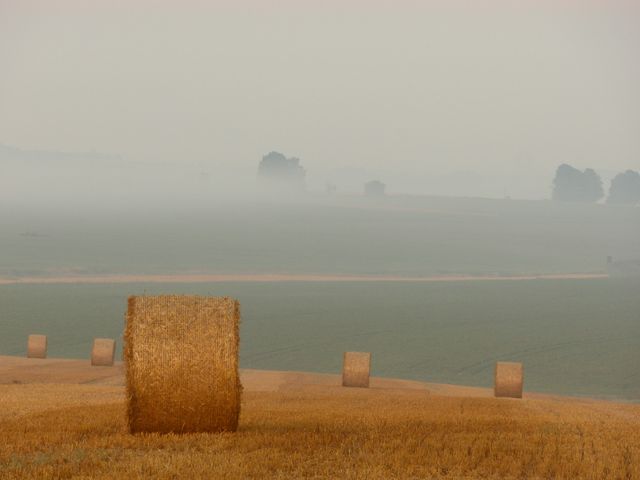 Photograph captures early morning scene with rolling mist over farmland, highlighting several hay bales scattered across the fields. ideal for use in articles or blogs about agriculture, rural life, serenity, and nature backgrounds. Perfect for promoting farm-related events or illustrating peaceful countryside settings.