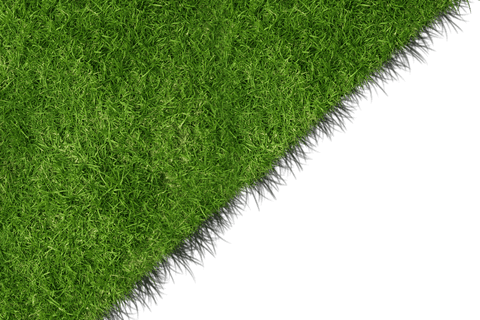 Bright Green Grass with Transparent Background for Nature Designs - Download Free Stock Videos Pikwizard.com