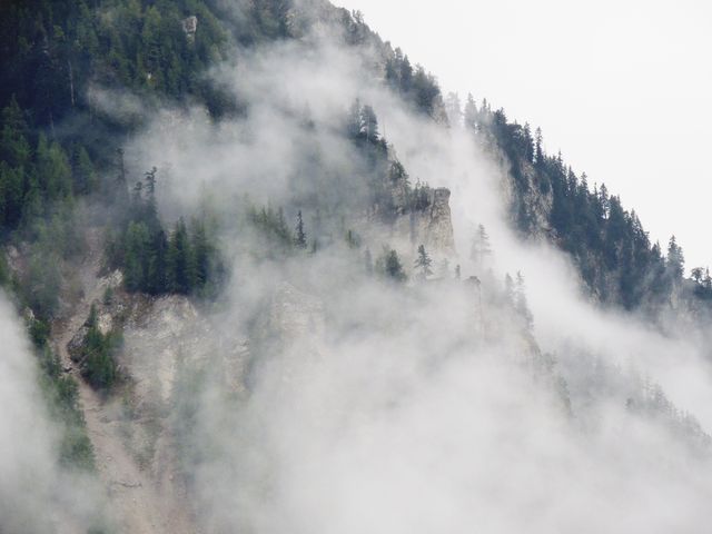 Misty Mountain Peak Shrouded in Dense Fog and Pine Trees - Download Free Stock Images Pikwizard.com