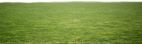 Green Grass Field on Transparent Background for Stadium Design - Download Free Stock Videos Pikwizard.com