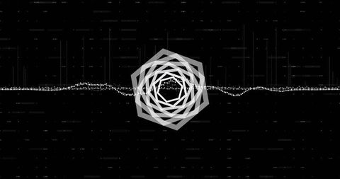 Monochrome audio waveform with rotating layered geometric rosette and polygon spiral loop