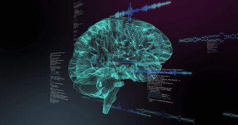Transparent Brain Hologram with Digital Data Interfaces - Download Free Stock Images Pikwizard.com