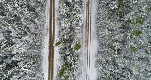 Aerial view of a snowy road cutting through a dense forest. The contrast between the untouched snow on trees and the clear path emphasizes nature's beauty juxtaposed with human intervention.