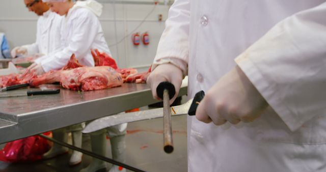 Butcher Sharpening Knife in Industrial Meat Processing Facility - Download Free Stock Images Pikwizard.com