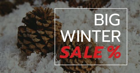 Christmas pinecones winter sale theme