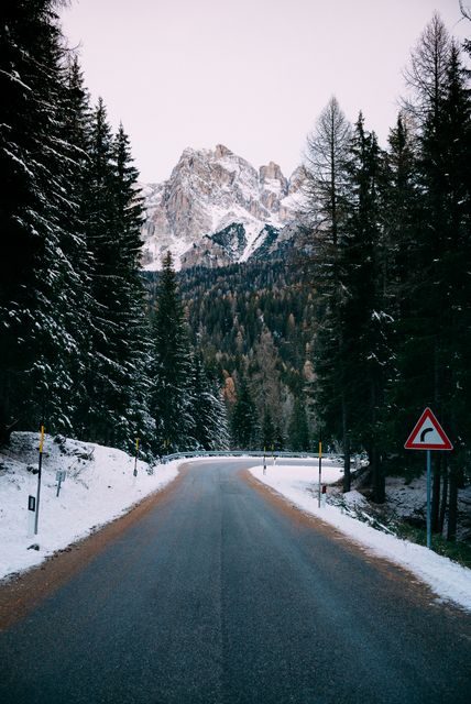 Deserted mountain road winding through a snow-covered winter forest with tall pine trees and distant peaks. Great for travel blogs, outdoor adventure promotions, winter tourism marketing, and landscape magazine spreads.