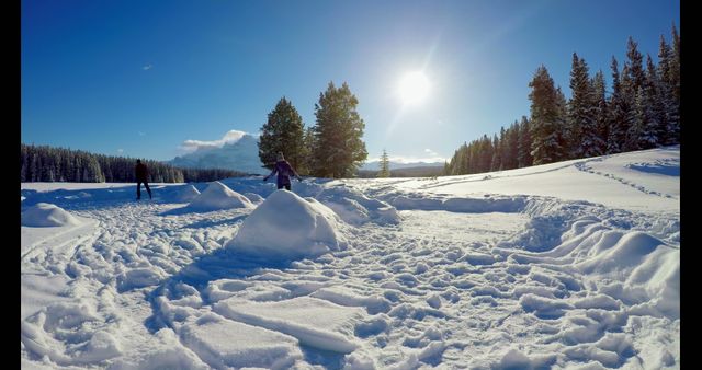 People Enjoying Winter Day in Sunny Snow-filled Landscape - Download Free Stock Images Pikwizard.com