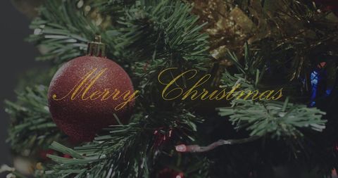Elegant Merry Christmas Text on Festive Tree Background - Download Free Stock Images Pikwizard.com