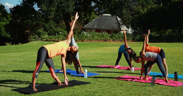 Diverse Group Practicing Outdoor Yoga on Mats in Sunny Park - Download Free Stock Images Pikwizard.com