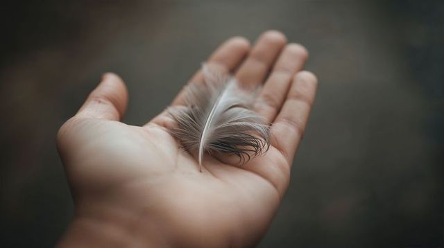 Open palm holding delicate gray and white feather soft light minimal serenity