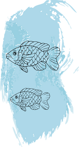 fish illustration over blue watercolor splash transparent background - Download Free Stock Videos Pikwizard.com