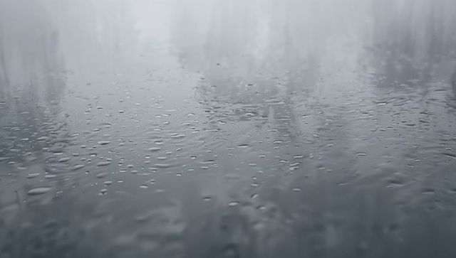 Monochrome raindrop ripples on reflective puddle with misty tree reflections, tranquil