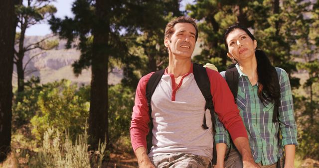 Middle-Aged Couple Hiking in Forest with Backpacks on Sunny Day - Download Free Stock Images Pikwizard.com